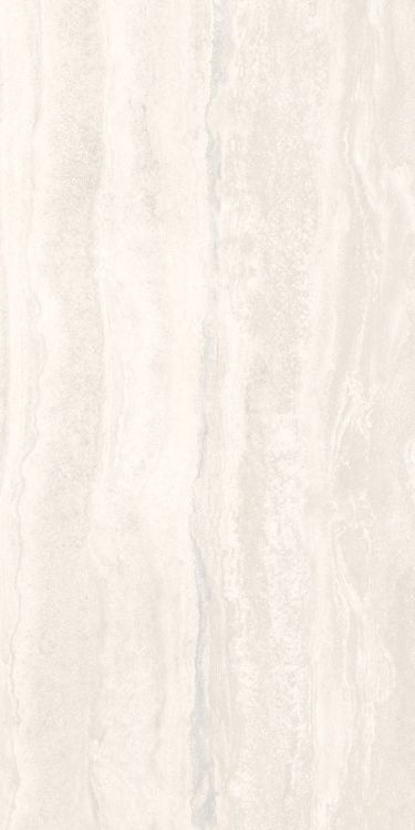 Appia Vein Cut White Matte 24 x 48